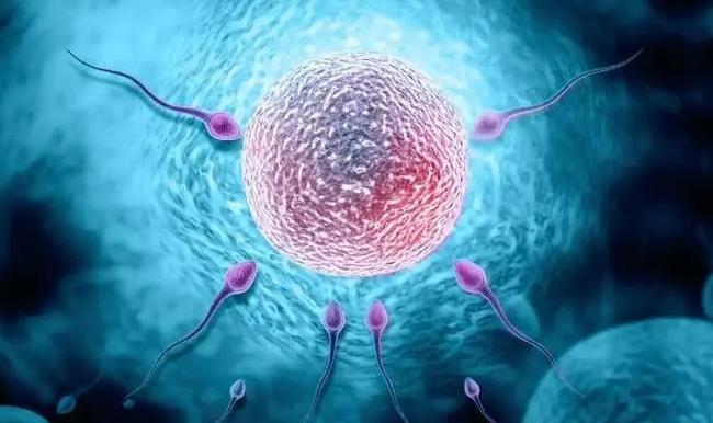 试管代怀包生男孩犯法吗-试管代怀包生男孩犯法吗?涉及法律风险需谨慎对待