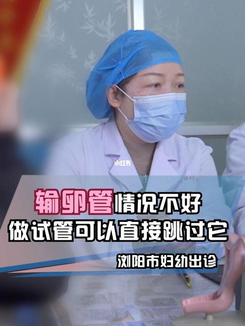 试管代怀的合法性(试管代怀:法律合法性探讨)
