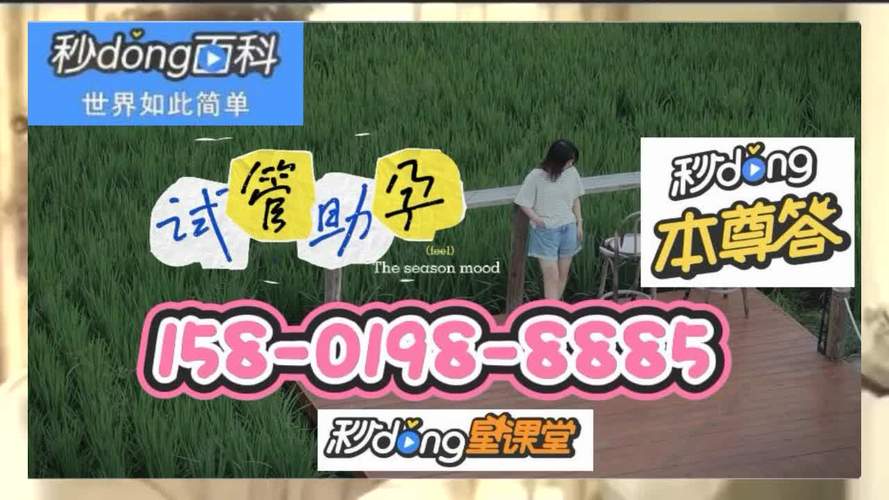 试管代怀的全包价【试管代怀全包价:一站式解决生育难题】