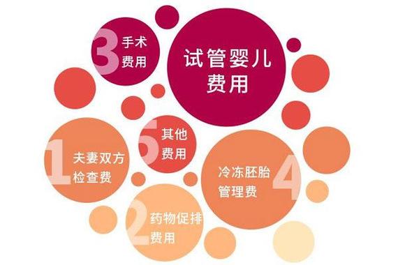 试管代怀的缺陷(试管代怀的缺陷：问题与挑战)