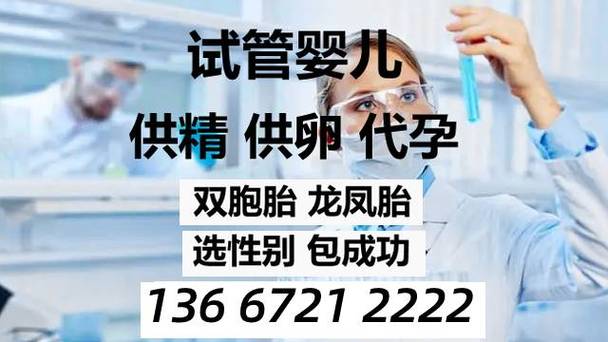 试管代怀费用咨询【试管代怀费用咨询：一站式解答你的所有疑问】