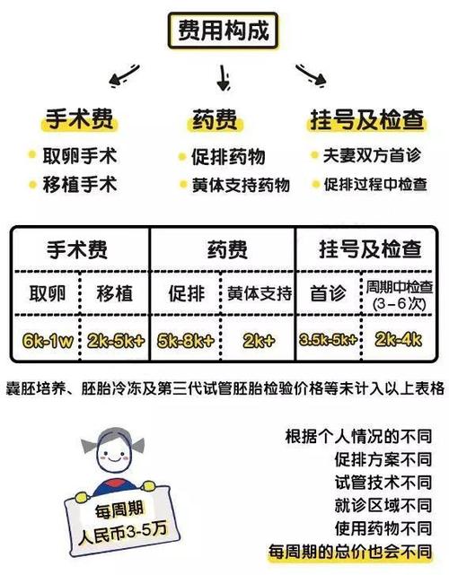 试管代怀的全包多少-试管代怀全包多少费用?