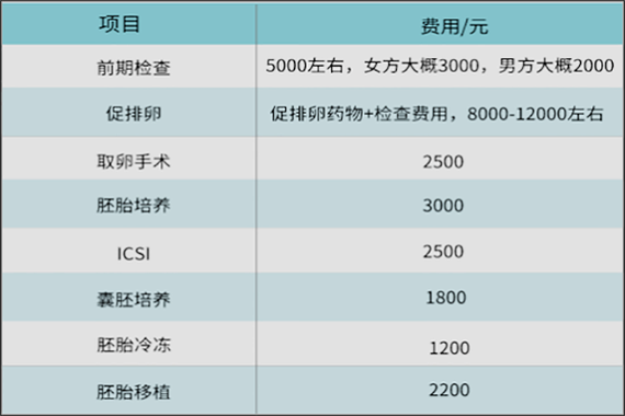 试管代怀大概花费多少费用_试管代怀大概花费多少费用?